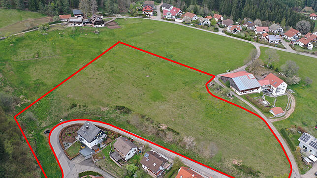 Im Frühjahr 2020 soll der Baubeginn für das Bauvorhaben Bergacker IV sein. Im rot eingekreisten Gelände entsteht das Neubaugebiet. ...