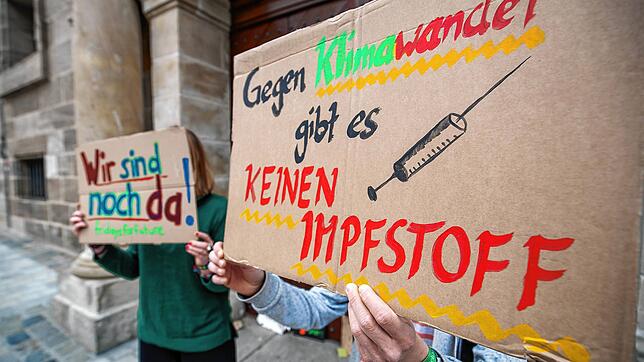 Aktivisten der Fridays for Future-Bewegung bei einer Demonstration