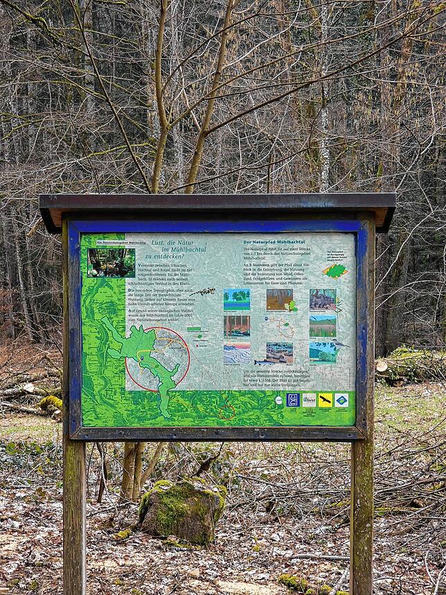 Im Naturschutzgebiet Mühlbachtal gibt es für Naturliebhaber viele Besonderheiten zu entdecken.