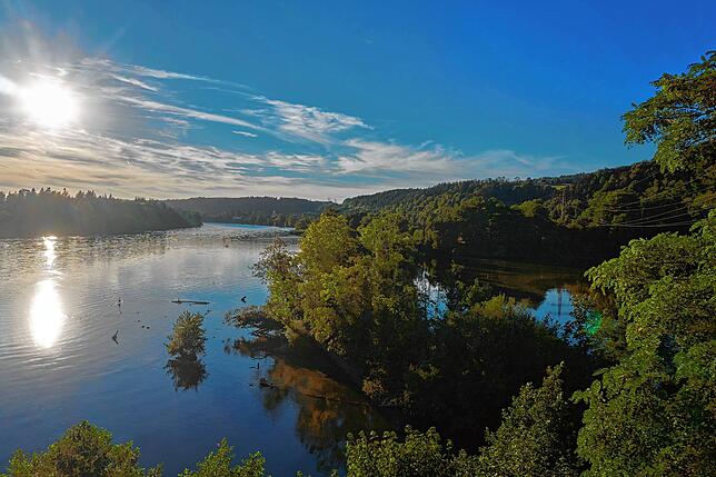 Aussicht: Vom Turm hat man einen guten Blick auf das Naturschutzgebiet, den Rhein sowie die Nachbargemeinden. Die Holzverkleidung soll ...