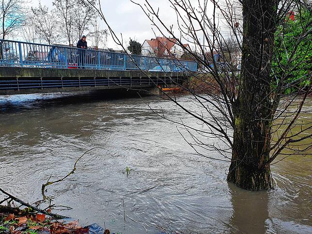 Eine Frau fotografiert die Seefelder Aach in Oberuhldingen. Soeben wurde hier ein Baumstamm von etwa 25 Zentimetern Durchmesser ...