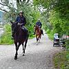 Kommissarin Dagmar Müller auf Young (vorne) und Oberkommissar Werner Goller auf Lecanto (hinten) reiten im Naturschutzgebiet zwischen ...