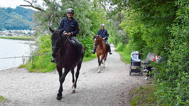 Kommissarin Dagmar Müller auf Young (vorne) und Oberkommissar Werner Goller auf Lecanto (hinten) reiten im Naturschutzgebiet zwischen ...
