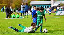 Bild : Kleine Kicker ganz groß! Unsere Bildergalerie vom F-Jugendturnier des FC Radolfzell!