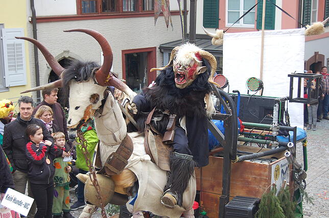 Bild 1: Bilder vom Fasnachtsumzug in Laufenburg