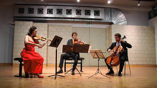 Das Kreisler-Trio aus Wien mit Violinistin Bojidara Kouzmanova-Vladar, Bratschist Axel Kircher und Cellist Luis Zorita beim Auftritt im ...