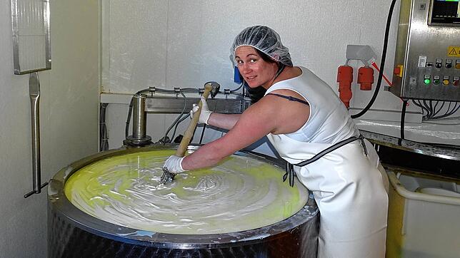 Natalie Majewski, Käserin auf dem Lärchenhof, rührt mit der Käseharfe Milch und Kälberlab durch, damit das „Dicklegen“ ...