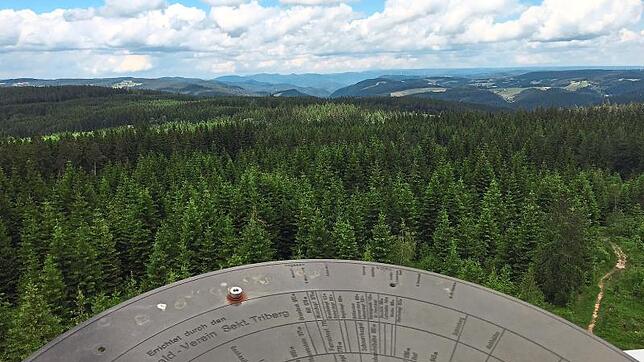 Bild : Phantastische Aussicht vom Stöcklewaldturm