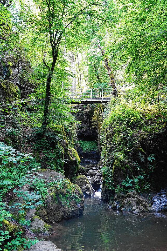 Unterhalb des Haselbach Wasserfalls führen zwei Brücken über den Bach.