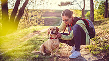 Zecken können viele Krankheiten übertragen, unter anderem die Anaplasmose beim Hund. Deshalb sollten Hundehalter ihre Tiere regelmäßig ...