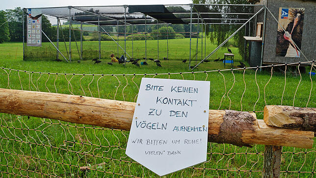 Besucherführungen im Waldrapp Trainingscamp 2018. Bild: Jürgen Gundelsweiler