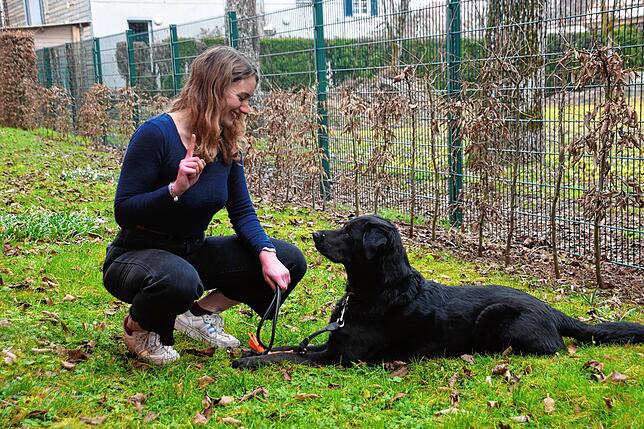 Louisa Kuhn aus Salem mit ihrem Hund Samy. Die junge Frau aus Salem findet einen Hundeführerschein grundsätzlich &bdquo;eine gute ...