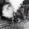 Unser Archivbild zeigt einen Nostalgiezug am Südportal des Hasler Tunnels. Fahren hier irgendwann Regio-S-Bahnen?