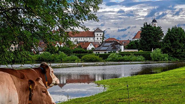 Die Idylle trügt: Auch vor Meßkirch stand das Wasser im Bereich Schnerkingen.