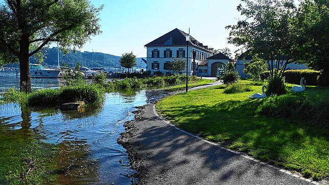 Der Weg beim Rathaus (Hintergrund) im Schlösslepark bei 492 Seepegel, inzwischen kam noch mehr Wasser.