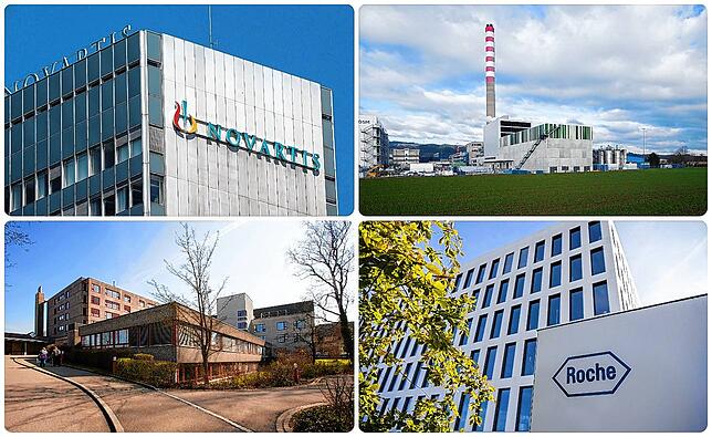 Diese Schweizer Unternehmen beschäftigen viele Grenzgänger aus Deutschland. Im Uhrzeigersinn von links oben: Novartis, DSM, Roche und ...