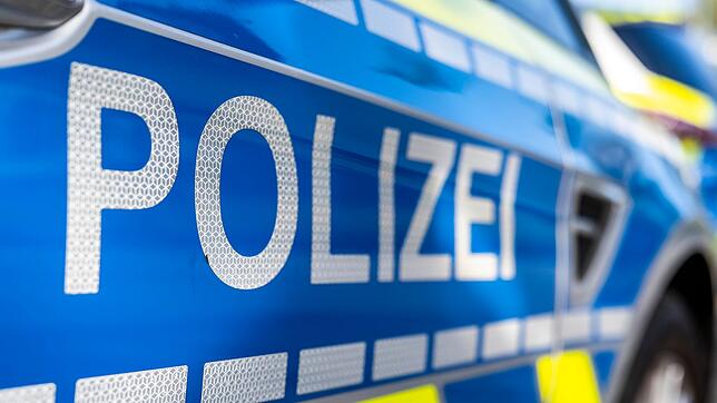 Die Polizei war wegen eines verdächtigen Schildes im Mainzer Hauptbahnhof gefordert. (Archivbild)