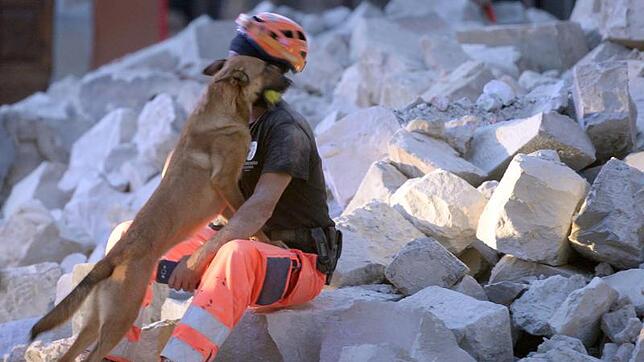 Ein Hund kuschelt sich an eine Rettungskraft. Sie brauchen eine Auszeit.