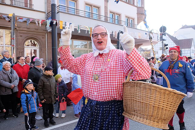 Bild 28: Bilder vom großen Narrenbaum-Umzug aller Singener Zünfte (Teil 1)