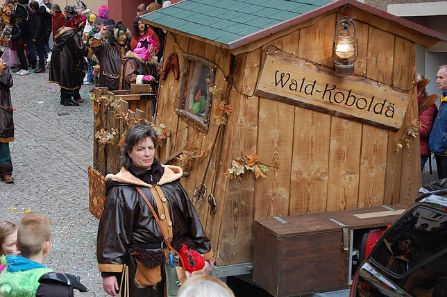 Bild 13: Bilder vom Fasnachtsumzug in Laufenburg