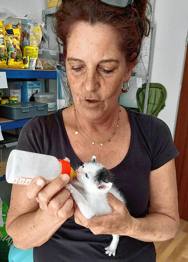 Susanne Danegger füttert Charly &bdquo;bigfoot&ldquo;. Die Flaschenaufzucht solcher Katzenbabies ohne Mutter macht zwar viel Freude, ist ...