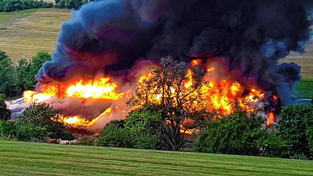 Bild 1: Bilder vom Großbrand der Produktionshalle in Mauchen