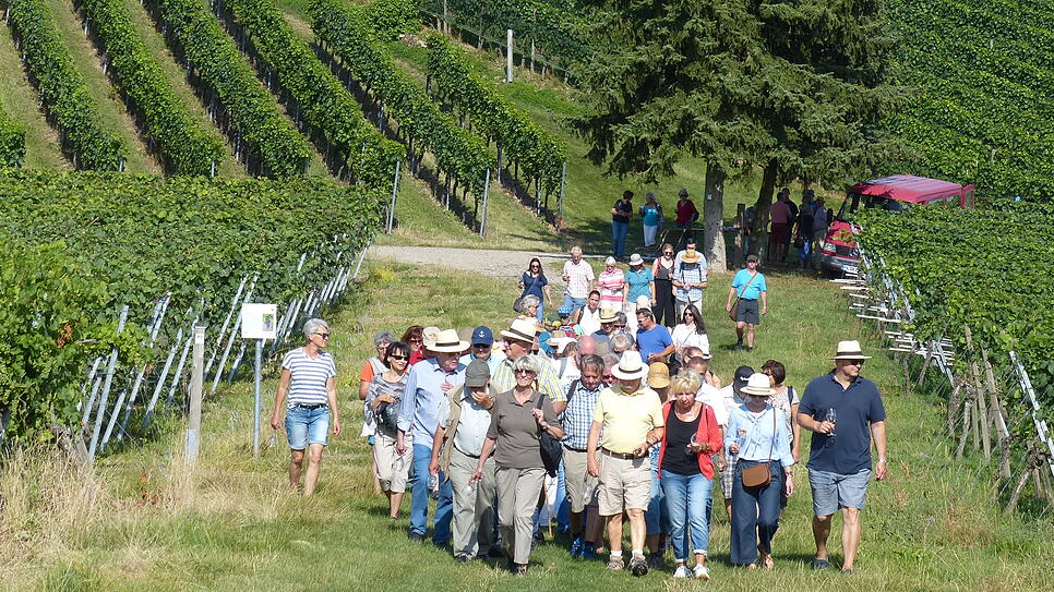 Nach dem Halt am Weinstand von Winzermeister Mathias Dilger mit interessanten Erläuterungen zum Weinbau und Verkostung zweier ...