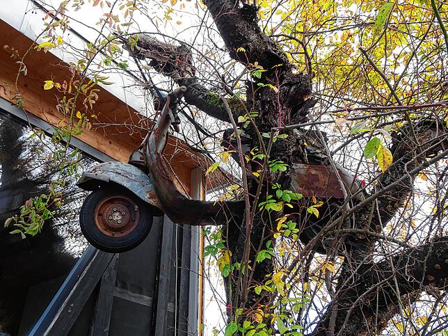 Ein Obstbaum als Vespa-Ständer: Im Garten steht ein 90 Quadratmeter großer „Vespa-Hangar“.