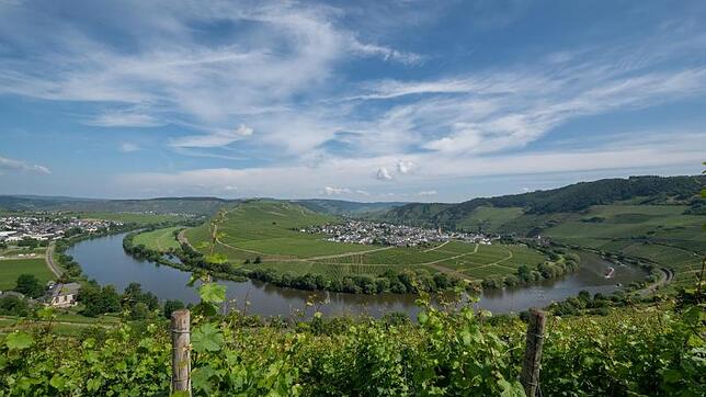 Die Mosel gehört zu den längsten Flüssen Deutschlands.