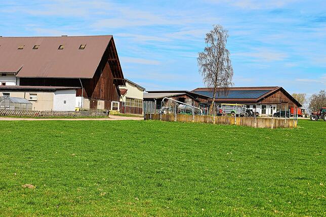 Der Binsenhof liegt zwischen Pfaffenweiler und Tannheim nahe dem Mittelpunkt des Schwarzwald-Baar-Kreises. Biber überfluten durch das ...