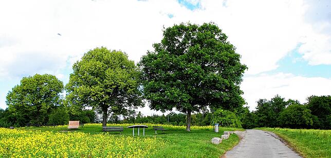 Der Aussichtspunkt Purren: Hier stand bis zum Zweiten Weltkrieg eine hölzerner Aussichtsturm.
