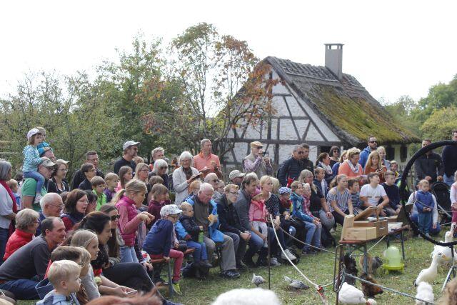Bild 1: Bilder: Kirbe im Freilichtmuseum Neuhausen ob Eck