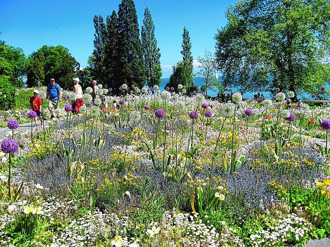 Im Frühjahr bieten die Beete auf der Insel Mainau eine sagenhafte Vielfalt an Blüten für Insekten und Schmetterlinge.