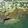 Algen, Seegras und täglich weniger Wasser: So präsentiert sich der Bodensee nicht nur in Lindau, sondern fast rund um den See.
