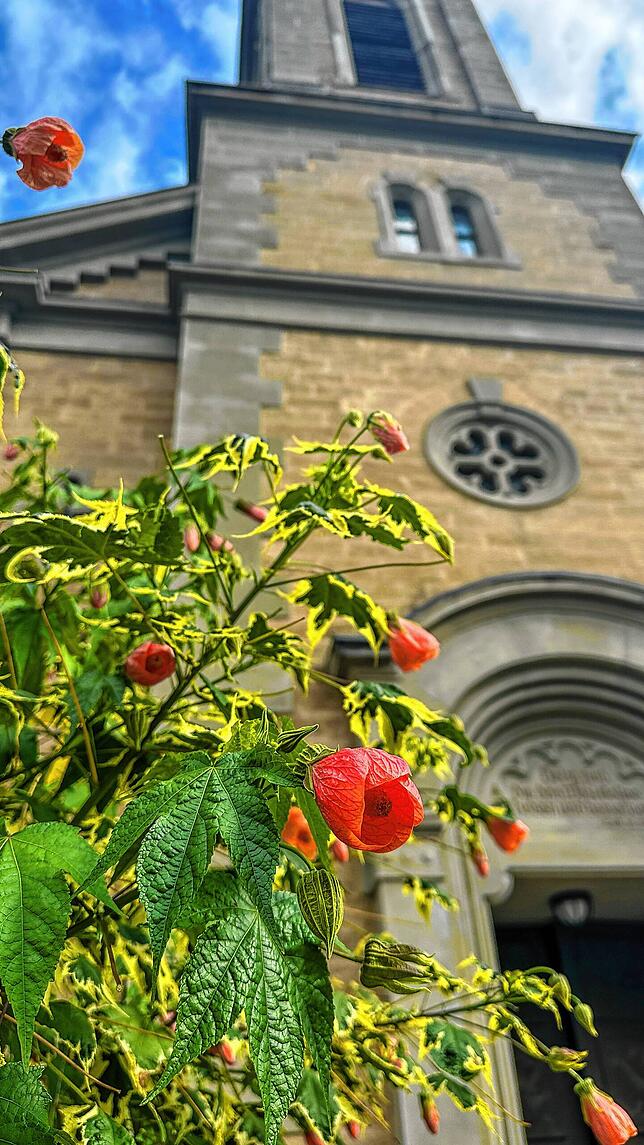 Bild 1: So schön ist der Herbst in Stockach: ein Fotospaziergang