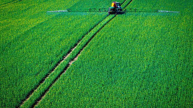 Mit Pflanzenschutzmitteln versuchen Landwirte, Schädlinge zu bekämpfen. (Archivbild)