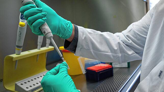 Ein Forscher zeigt, wie ein PCR-Test für die Analyse auf Mutationen des Coronavirus vorbereitet wird (Symbolbild). Im Kreis Lörrach ...