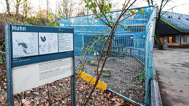 Der Basler Zoo hat Maßnahmen zur Eindämmung der Vogelgrippe getroffen, unter anderem wurden die Gehege mit Netzen umspannt.
