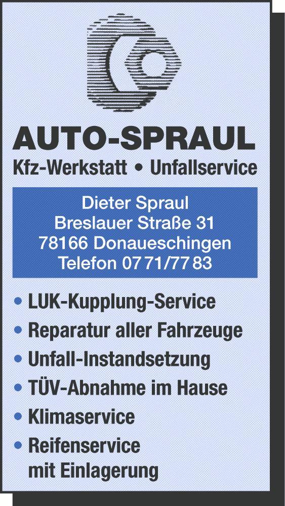 Bild 5: Kfz Service Donau: Elektrisch, alltagstauglich, SUV