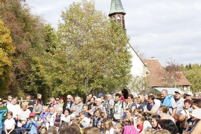 Bild 11: Bilder: Kirbe im Freilichtmuseum Neuhausen ob Eck