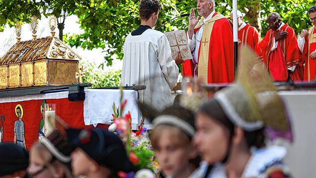 Bild : Traditionelles Hausherrenfest in Radolfzell – Die besten Bilder