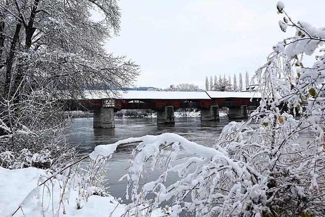 Bild 15: So schön ist der Schnee in Bad Säckingen und auf dem Hotzenwald! Wir haben die Bilder