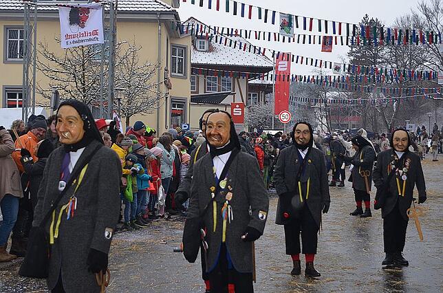 Bild 14: Bilder vom großen Umzug des Narrenbundes Niedereschach