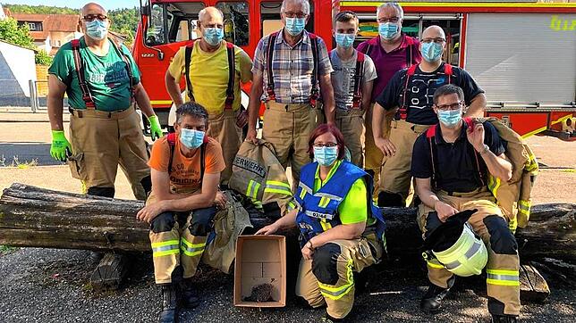 Mitglieder der Feuerwehr Tiengen mit dem geretteten Igelbaby.