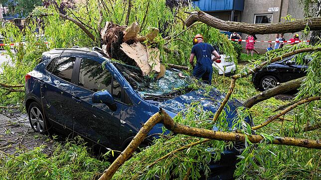 Die Gewitterfront hat in weiten Teilen Deutschlands für Schäden gesorgt. In Frankfurt am Main stürzte ein Baum auf ein Auto.