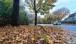 Sturmböen zogen am Donnerstag über den Hochrhein hinweg. Hier ein Bild aus Bad Säckingen.