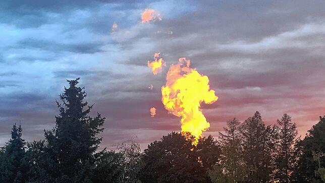 Bild : Spektakuläres Schauspiel: Atomwolke des Kernkraftwerks Leibstadt leuchtet wie eine Feuerfackel