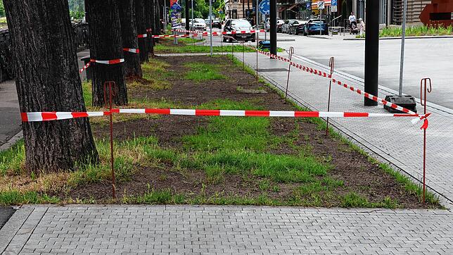 In dem abgesperrten Bereich wird demnächst eine Zufahrt für Radfahrer, die zum Bahnhof müssen, angelegt. Die Bäume werden nicht in ...