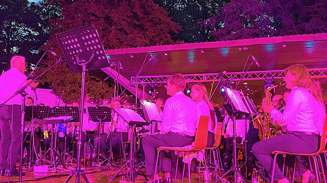 Bild : Bilder vom Sound & Light im Schlösslepark Ludwigshafen (Teil 2)