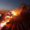 Flammen und dichte Rauchschwaden schlagen aus dem Wald im Naturpark Chapada dos Guimaraes. Seit Wochen wüten Tausende Feuer im ...